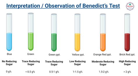 benedict's test colors|Benedict's test : Principle, Composition, Procedure and Result.
